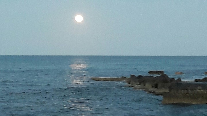 emozioni lunari