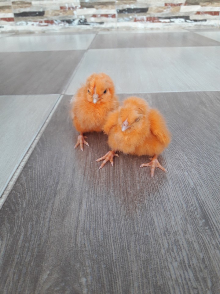 Cute♥♥