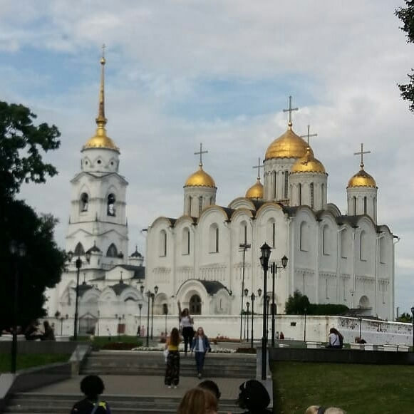 красота