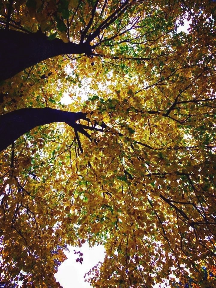 #autunno