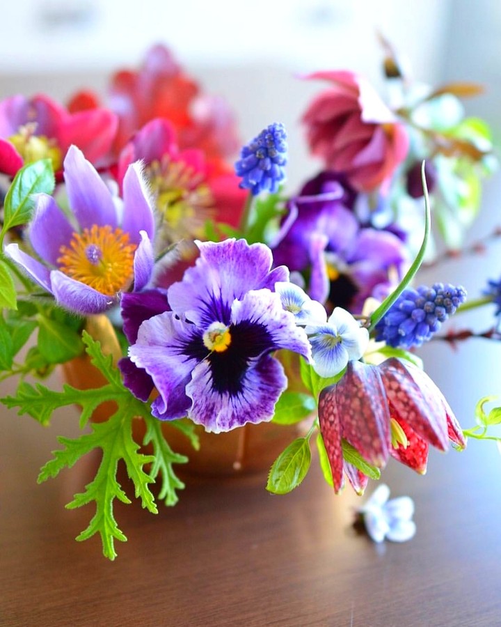 flowers