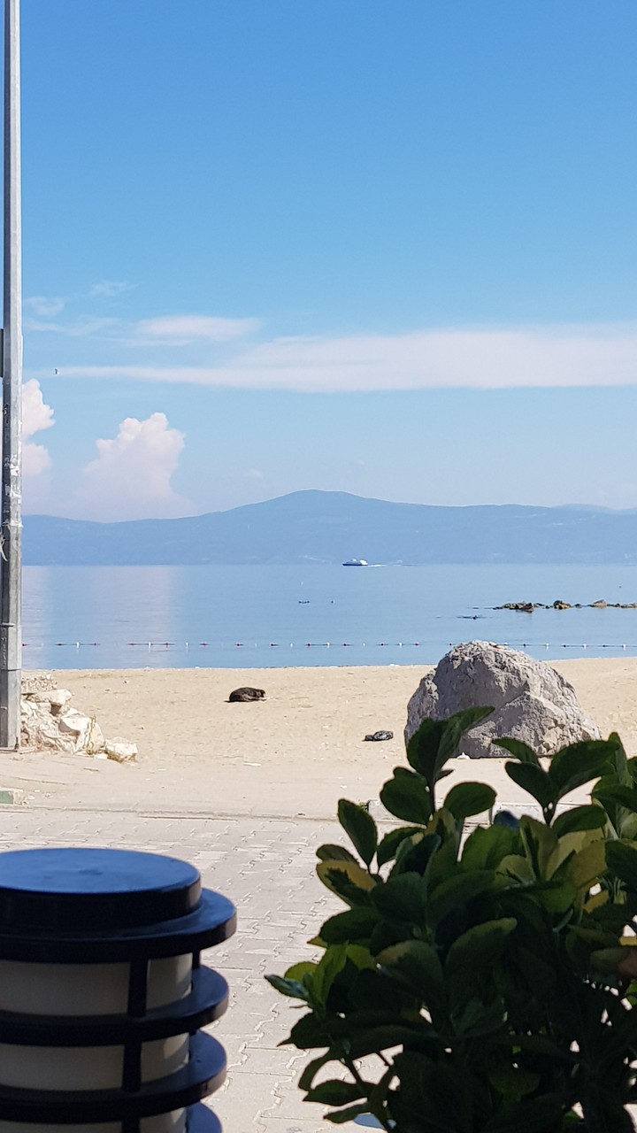 mudanya bursa