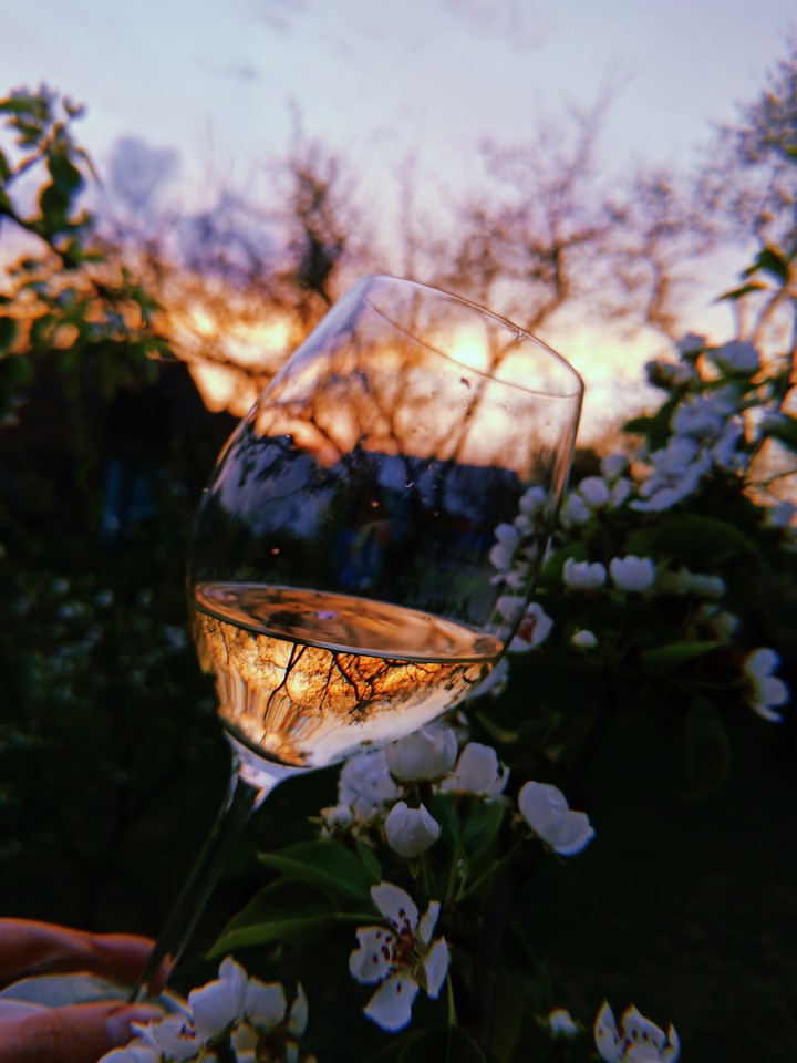 Wine and sunset