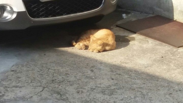 골목길 이스터애그