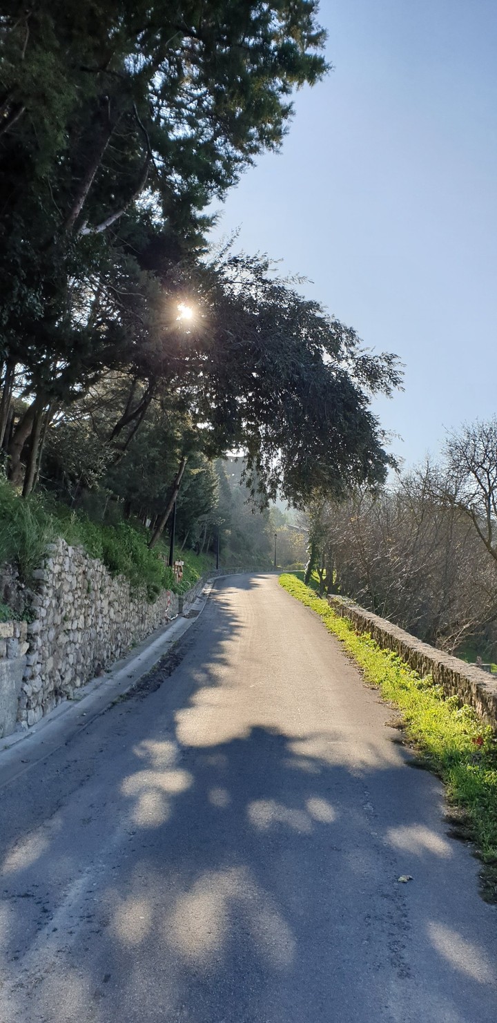 Lagrase