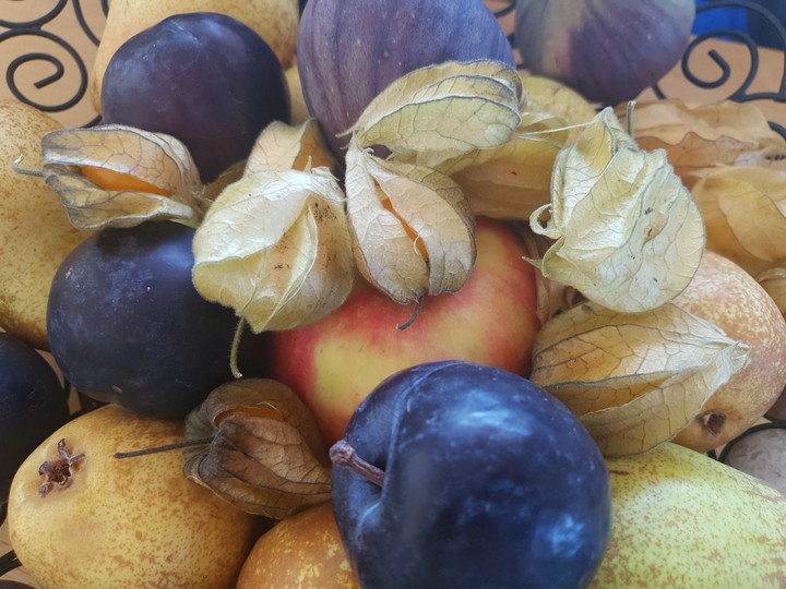 Herbst