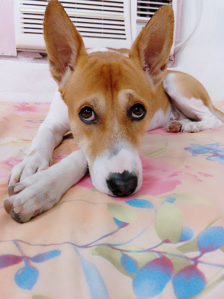 MY hachiiii