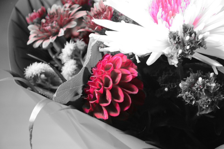 Close Up Bouquet