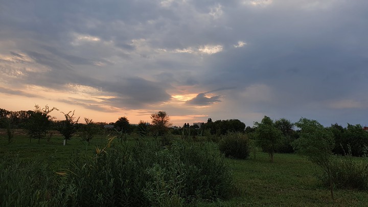 nature