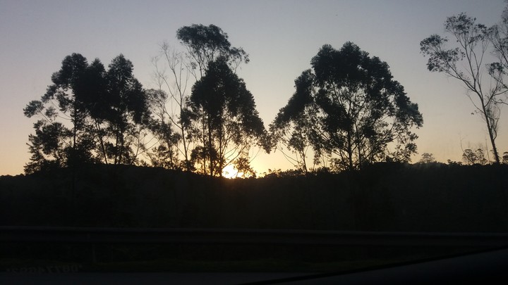 Nature.