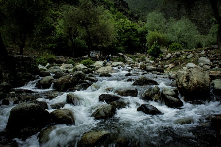 Kashmir Beauty
