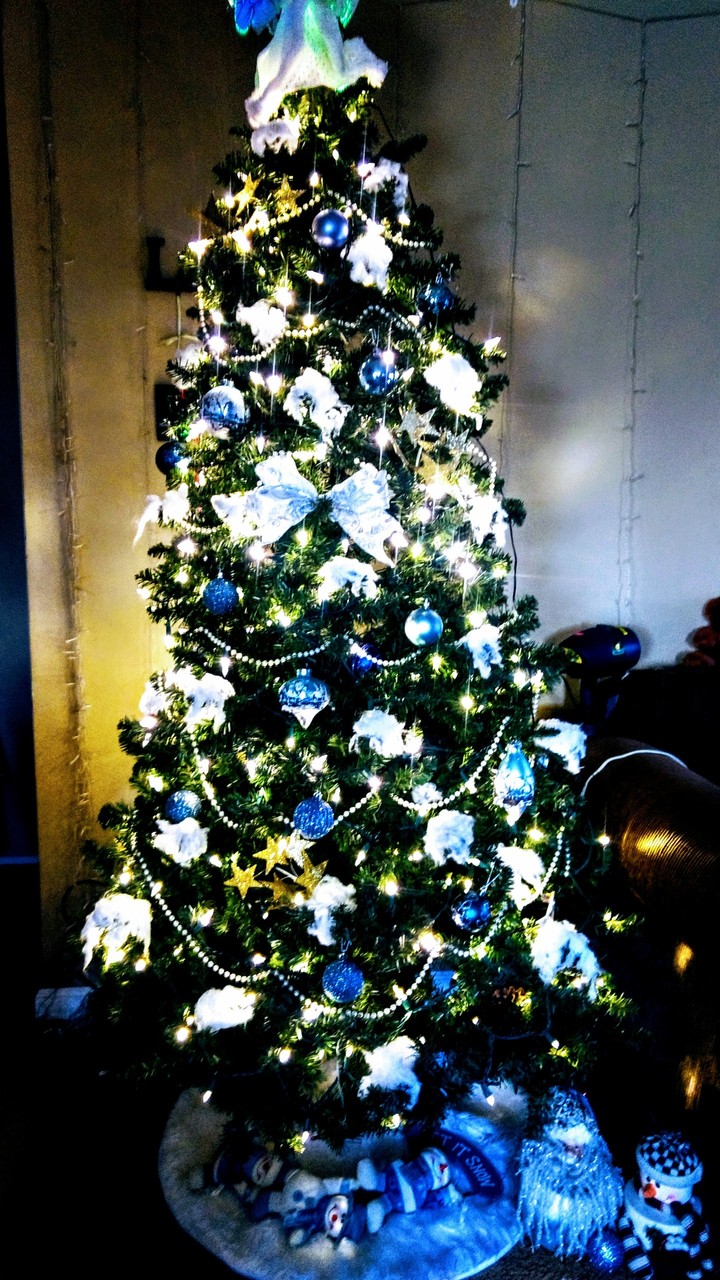 post Christmas pre Valentine's Day Winter Tree