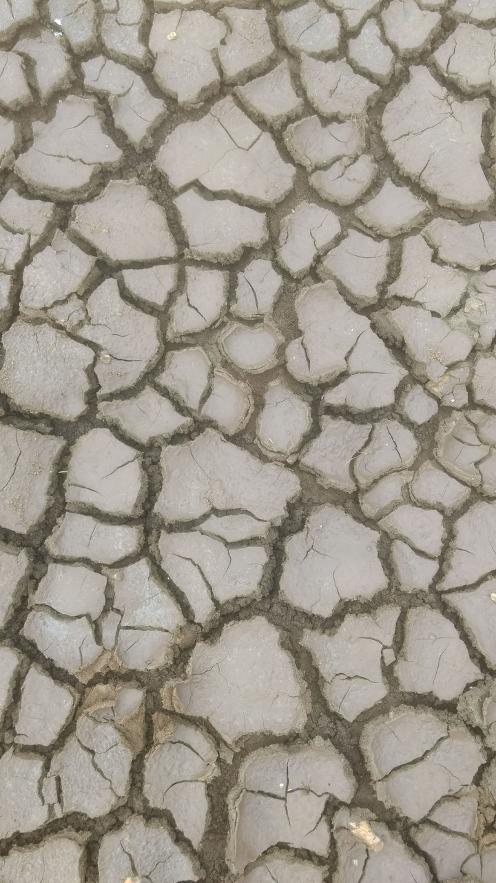 Earthquake
