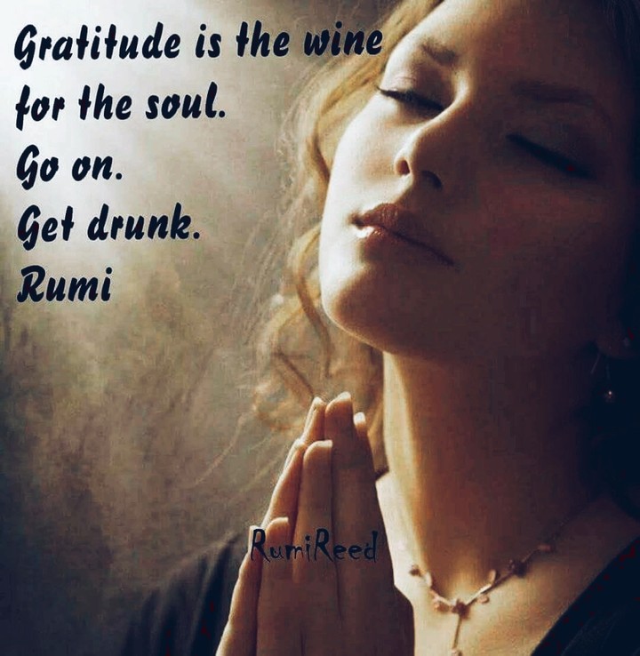 gratitude