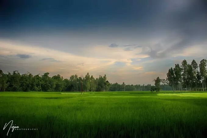 cloudy