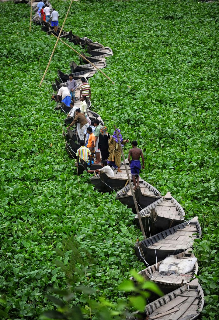 The Boat Bridge in Bangladesh