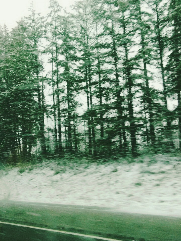 It's Finally Snowing!