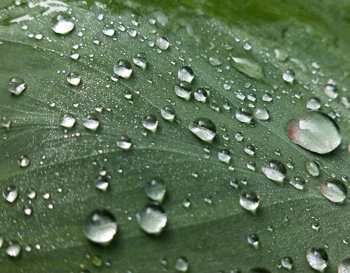 water drop