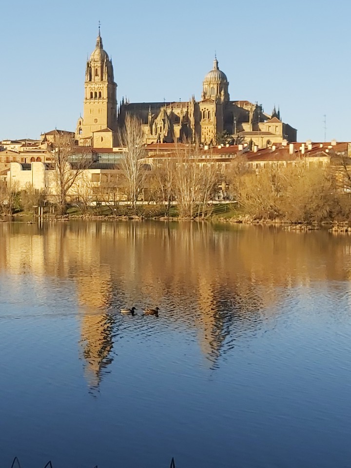 Reflejos