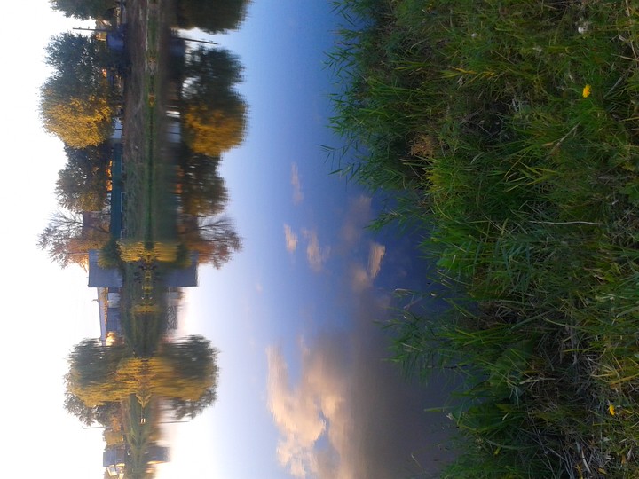 evening