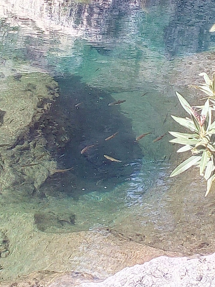 clear wather