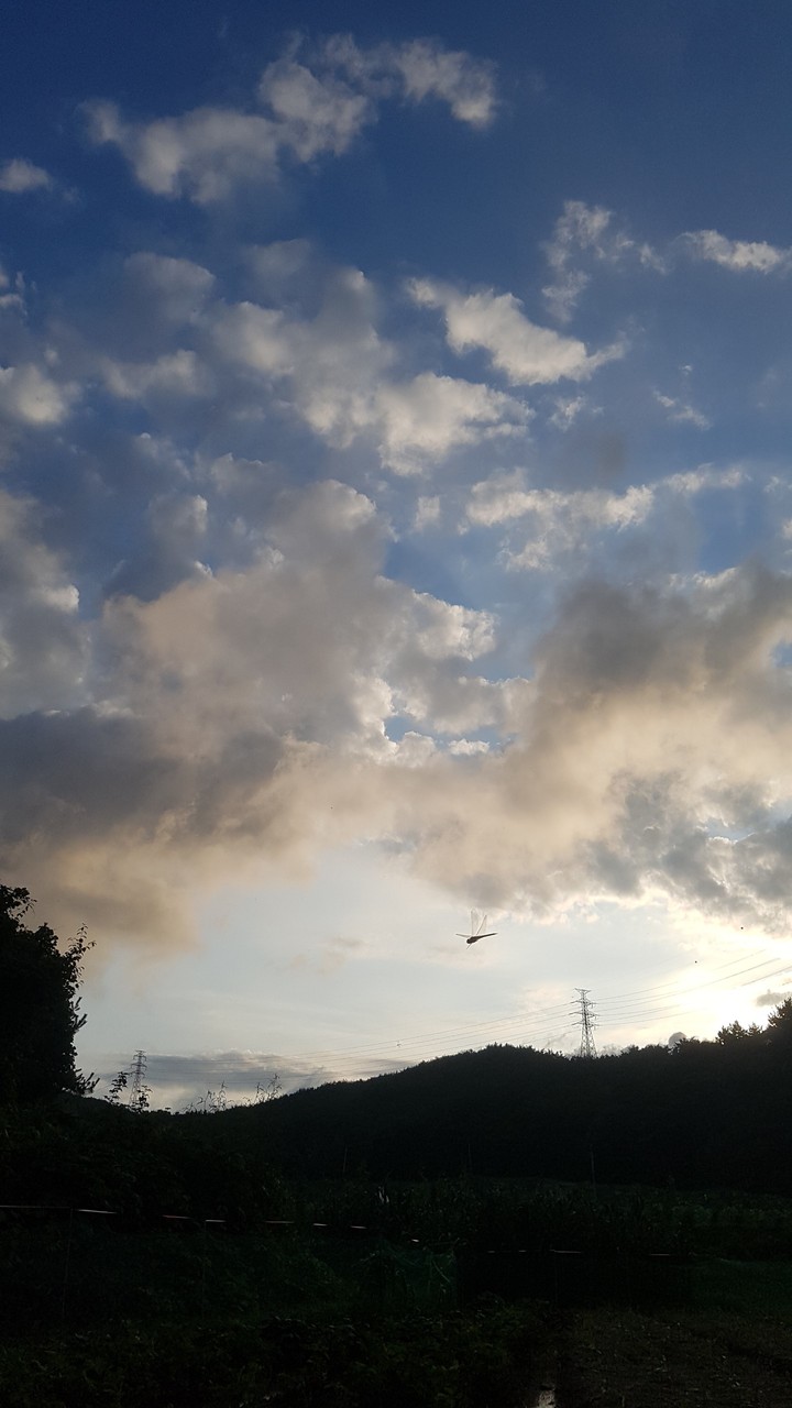 5시 하늘
