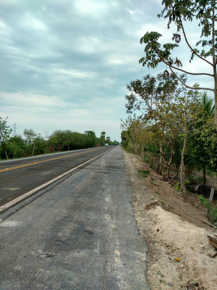 Brazil road 2