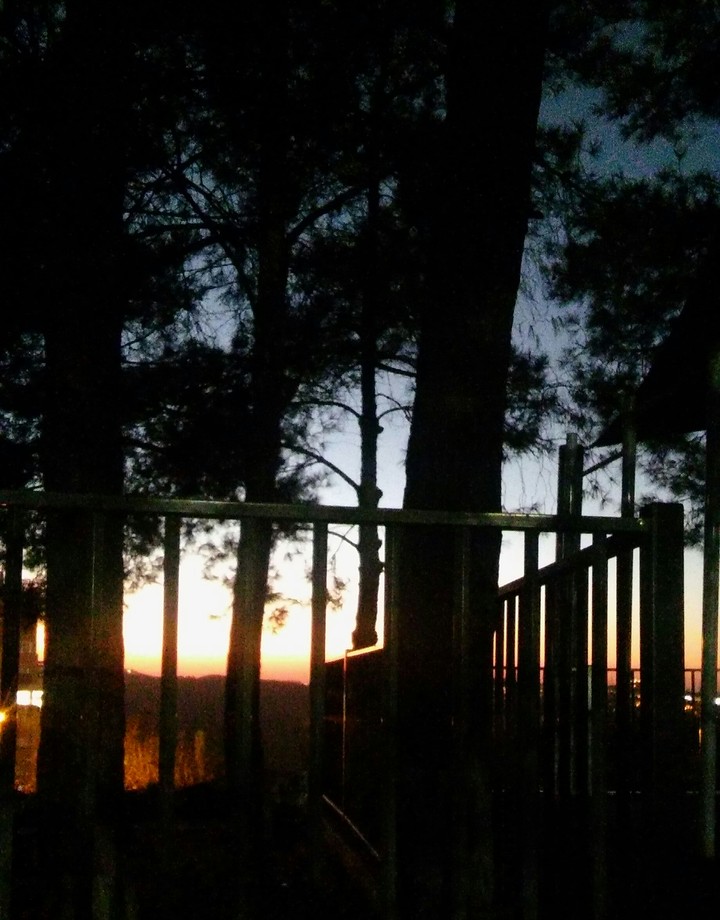 Sunset beyond the bars