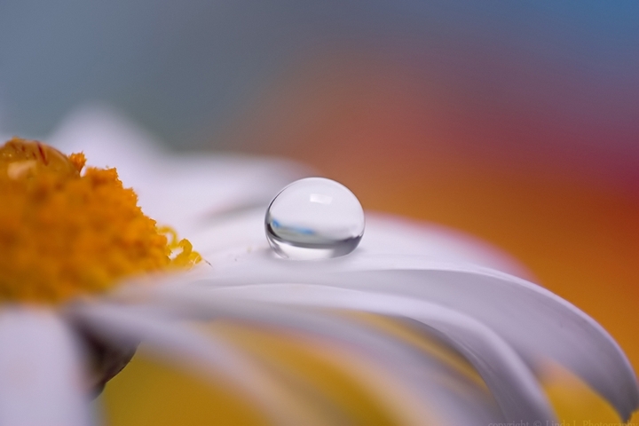 drop