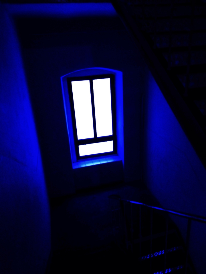 window