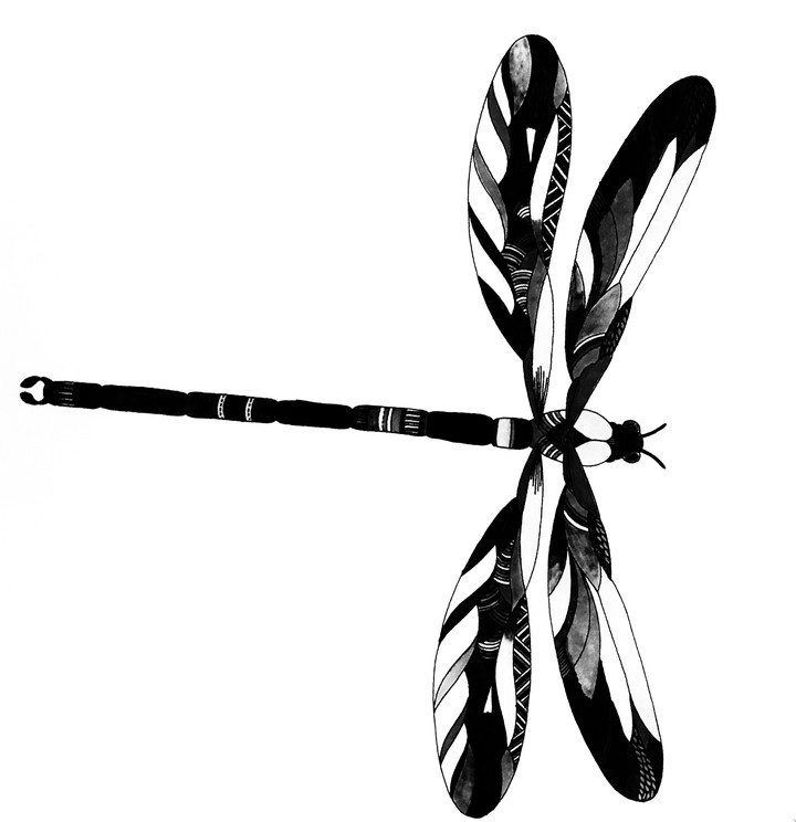 Dragon-fly...