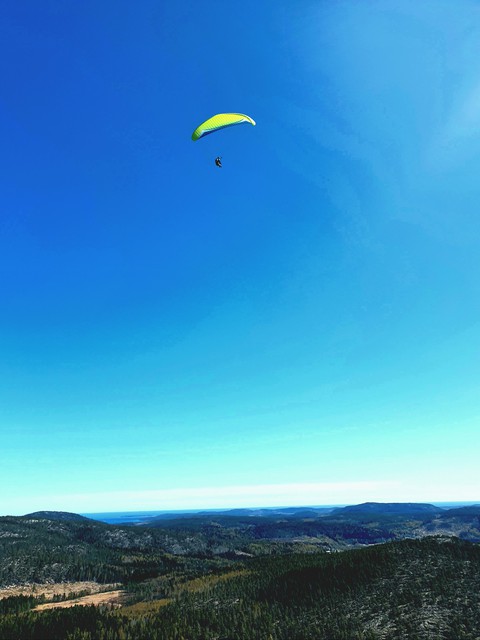 Fly