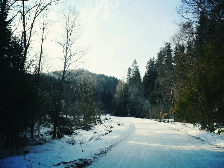 Mountain