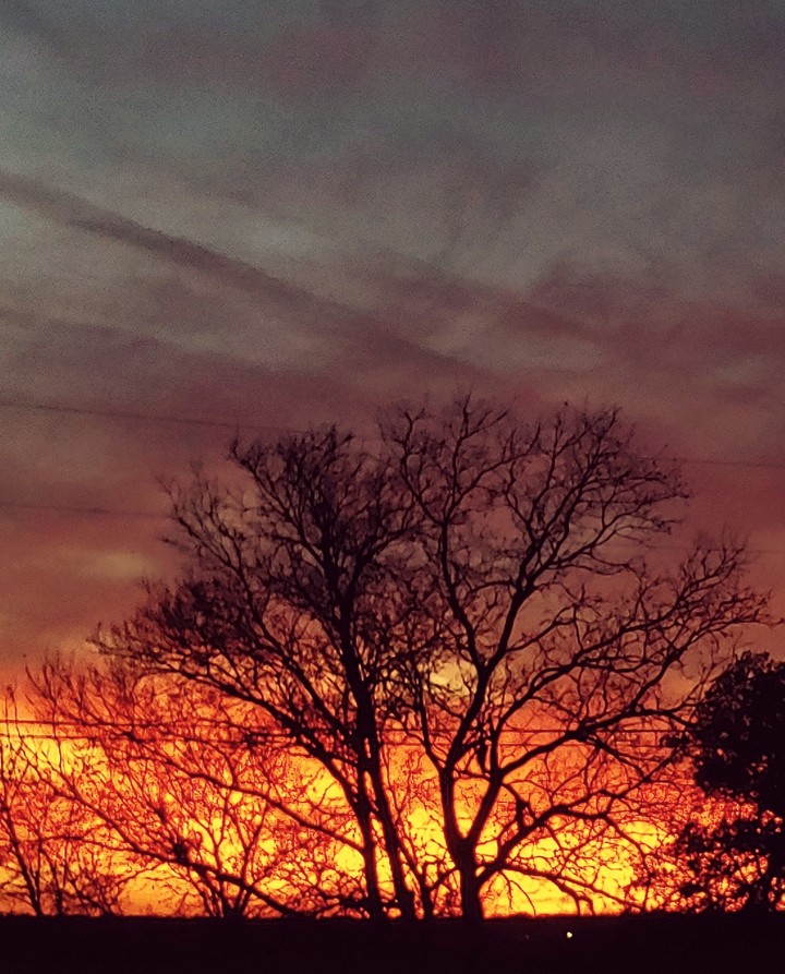Later that evening