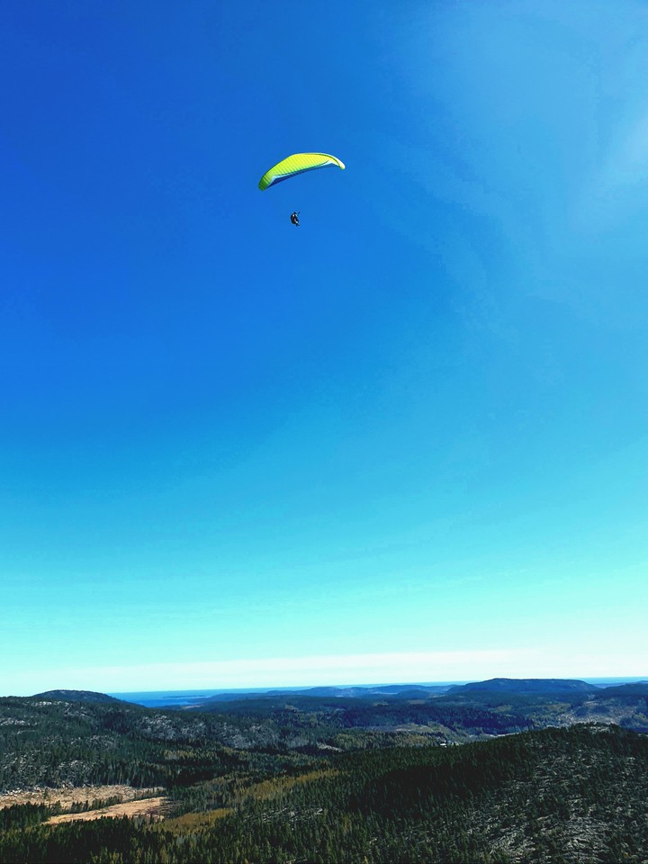 Fly