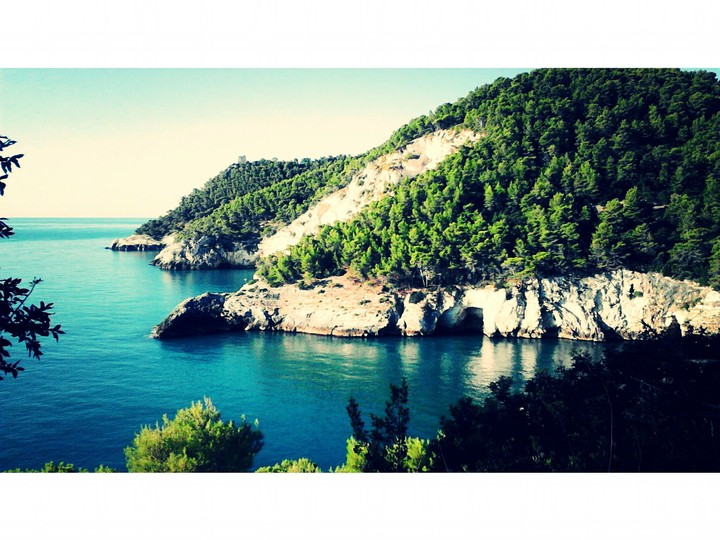 Vieste