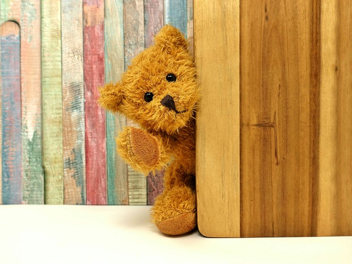 Small bear