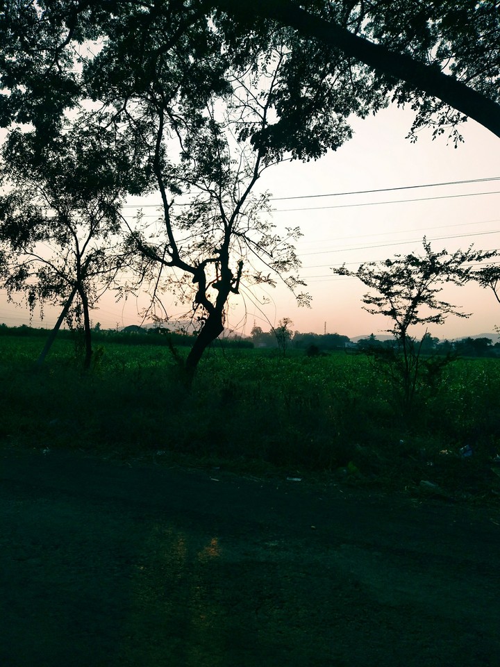 little dusky