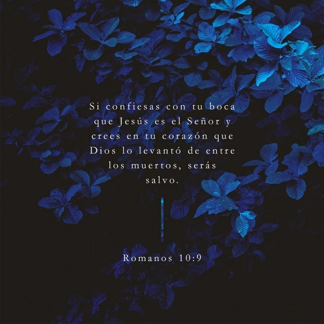 Cree y confiesa