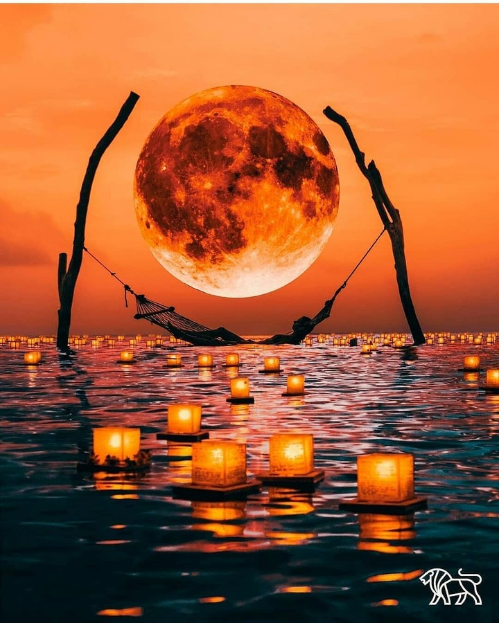 sun