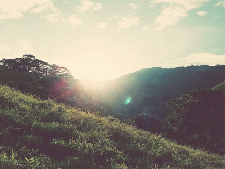 The sun