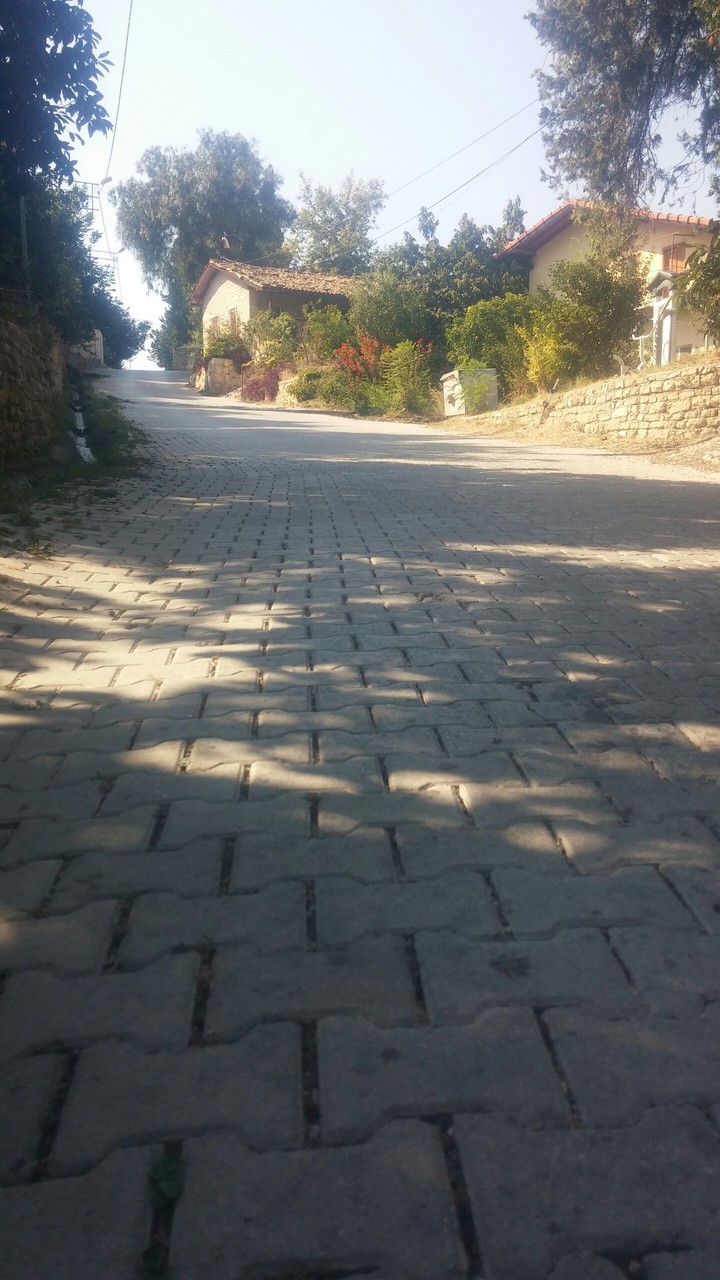 Yol