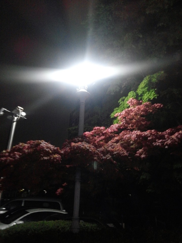 외로운 가로등