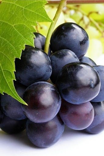Grape