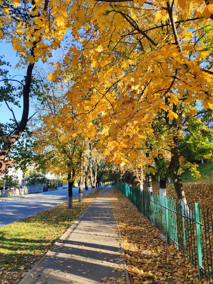 Autumn mood