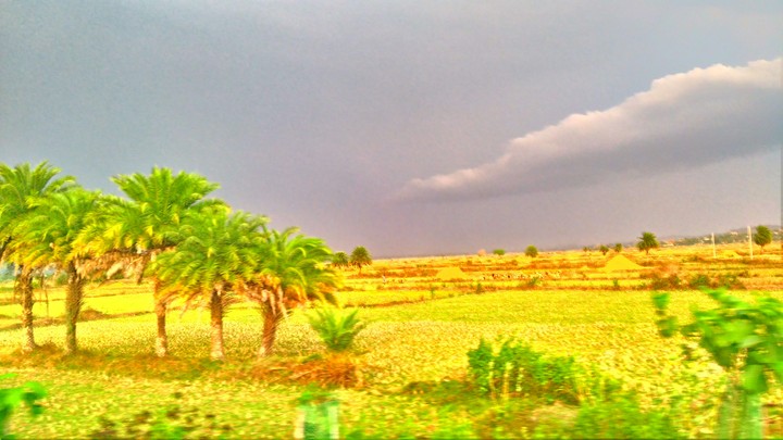 a cloudy nature