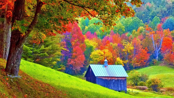 Herbst
