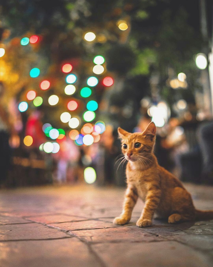 looking so scared