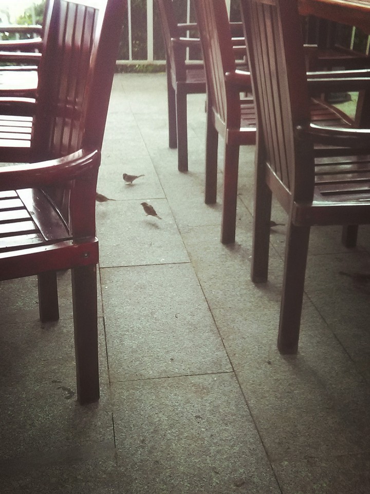 Cafe in Vietnam/ кафешка во Вьетнамк