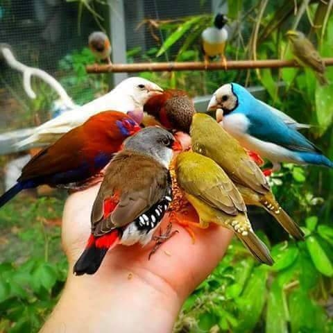 bird's #nature #meeting#lovely#